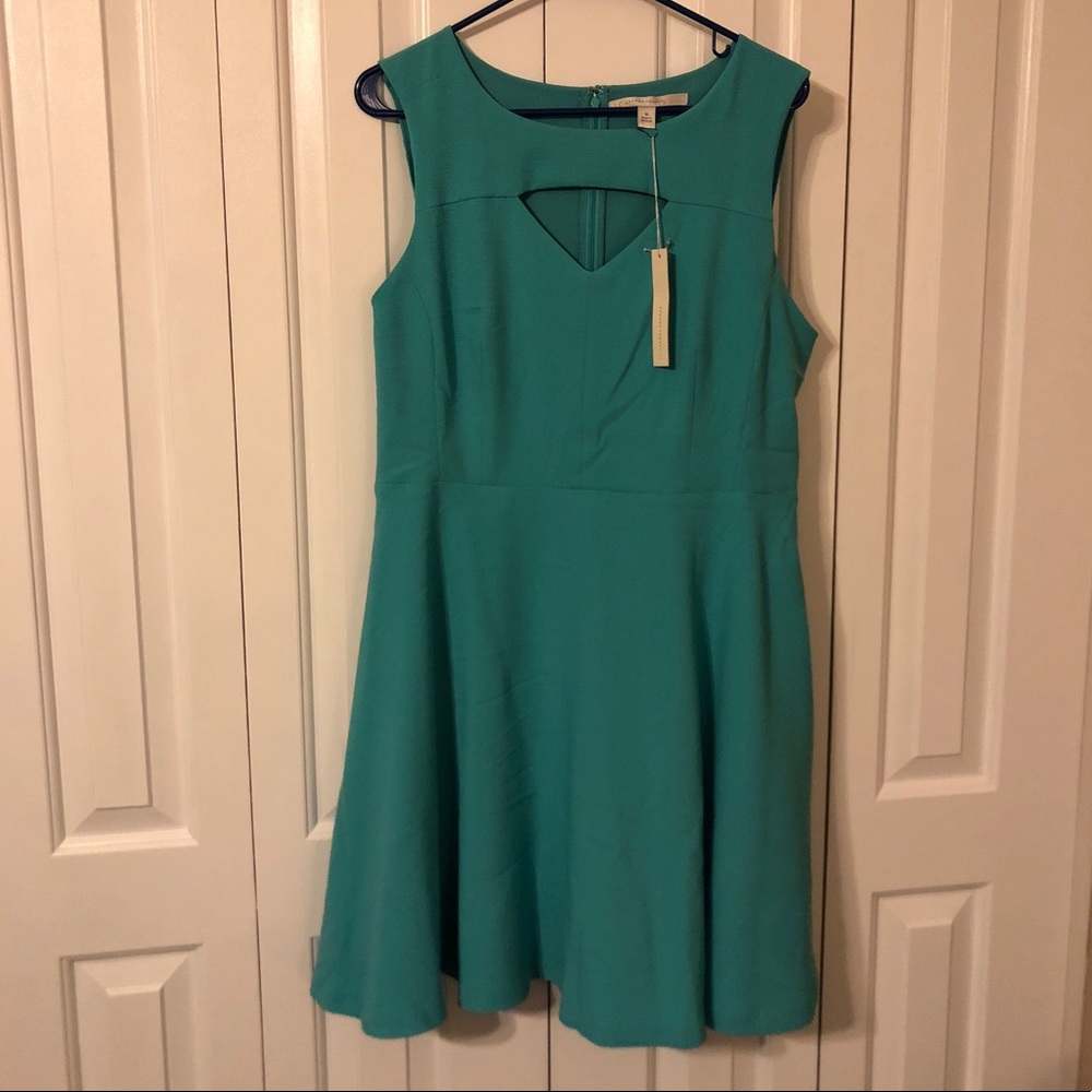 NWT Lauren Conrad fit & flare dress Sz. 16